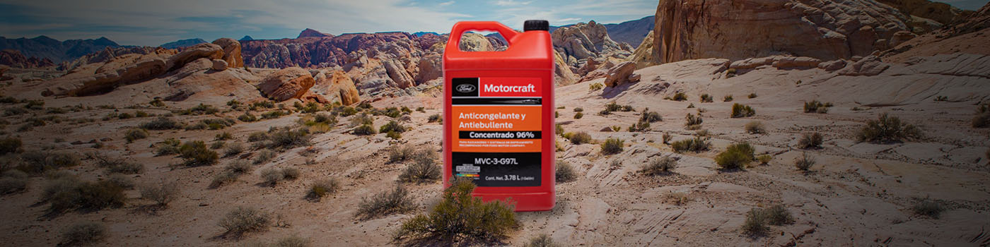 Descubre consejos y recomendaciones para elegir la batería Motorcraft adecuada para tu vehículo. 