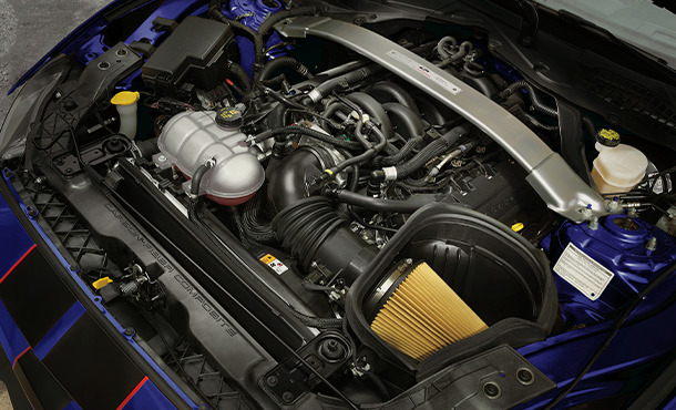 Limpiador de Motor Motorcraft, para Motores de Gasolina, Diésel y Gas LP