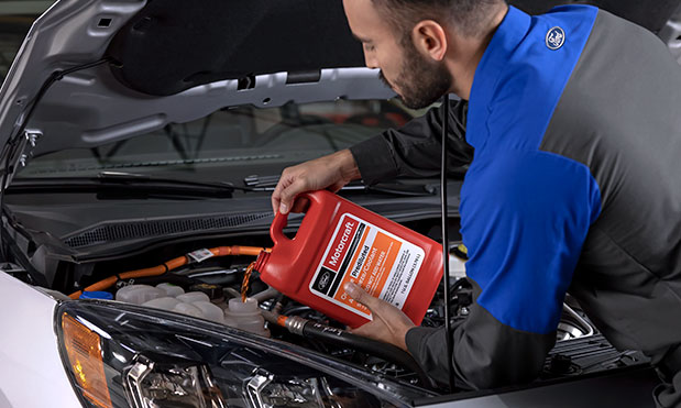 Anticongelantes Motorcraft® — protección del motor